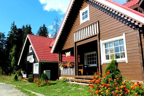 Alpine ski chalet Tomba with sauna