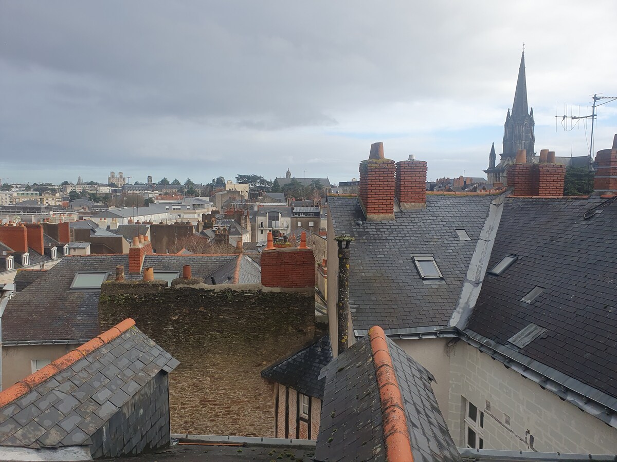 A panoramic view of Nantes rooftops is presented, showcasing a mix of slate and tiled roofs. Tall spires and greenery punctuate the skyline, while the varied textures and colors of buildings create an engaging urban landscape under a partly cloudy sky.