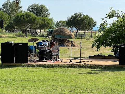 Camping Cervia area - nature art and sea