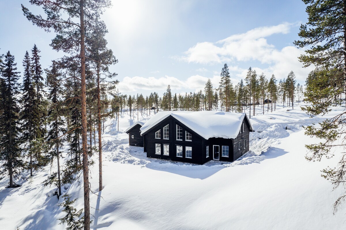 A modern black house is surrounded by snow-covered terrain, nestled among tall evergreen trees. Sunlight brightens the scene, reflecting off the pristine white snow. The structure features large windows, enhancing the connection to the natural landscape.