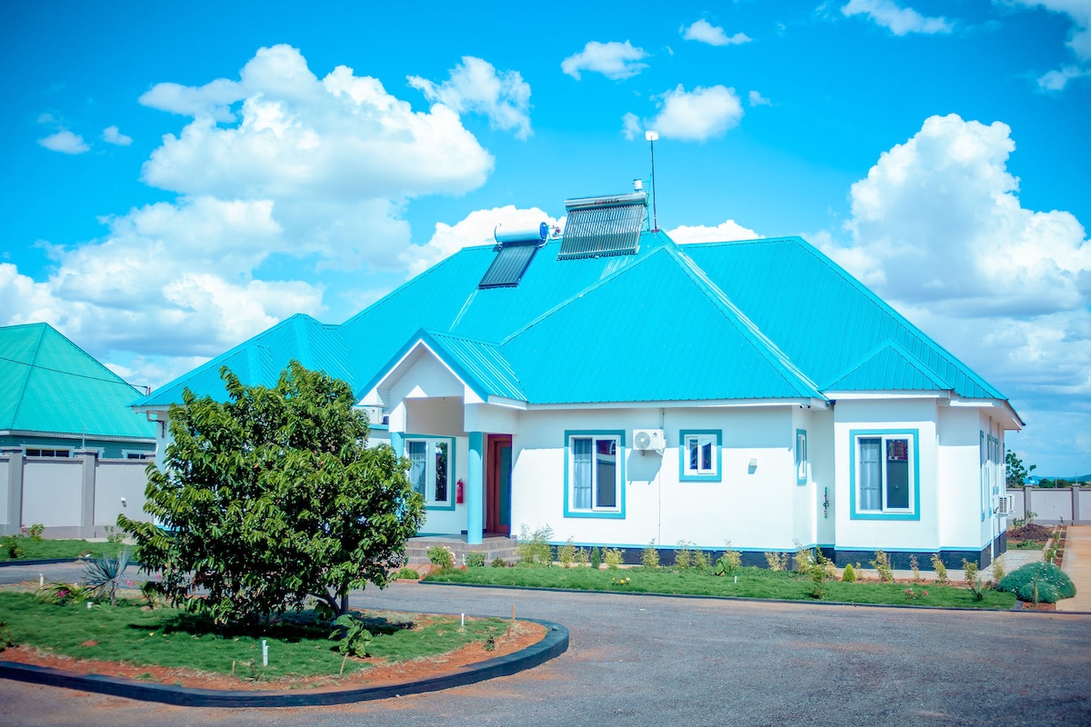 A modern single-story home is presented with a vibrant blue roof and white walls. The property features a well-maintained lawn, with the main entrance framed by a lush green shrub. A driveway leads up to the house, complemented by a backdrop of fluffy clouds.
