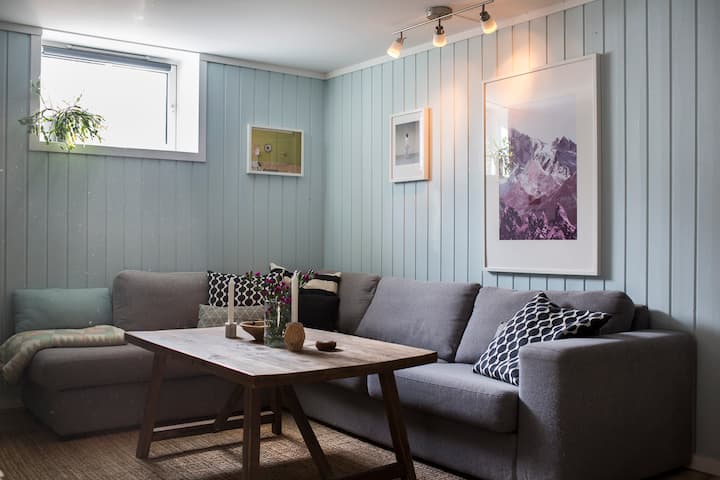 Ampio soggiorno seminterrato che può essere utilizzato come camera da letto. 2 letti per gli ospiti disponibili in casa.