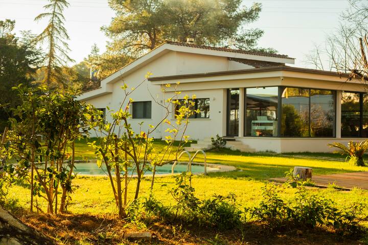 Alfa country house. Villa con piscina nel salento. gallery image 5