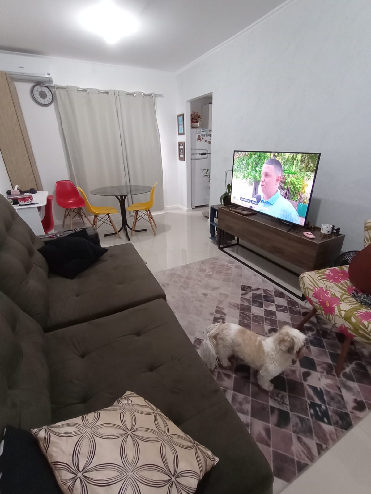 A living area features a comfortable brown sofa and a circular dining table with colorful chairs. A television is positioned on a wooden stand. A small dog is seen on the patterned rug, and light filters through curtains that frame the room.