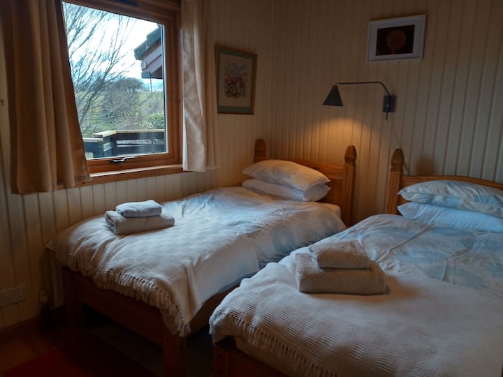 habitación con dos camas individuales - Dormitorio 3