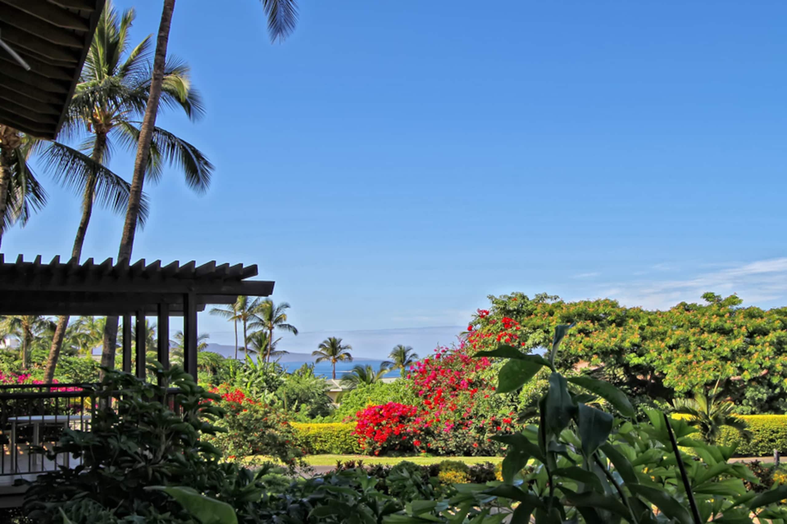 1 bed & bunks Ocean view, beachfront property - Image 43