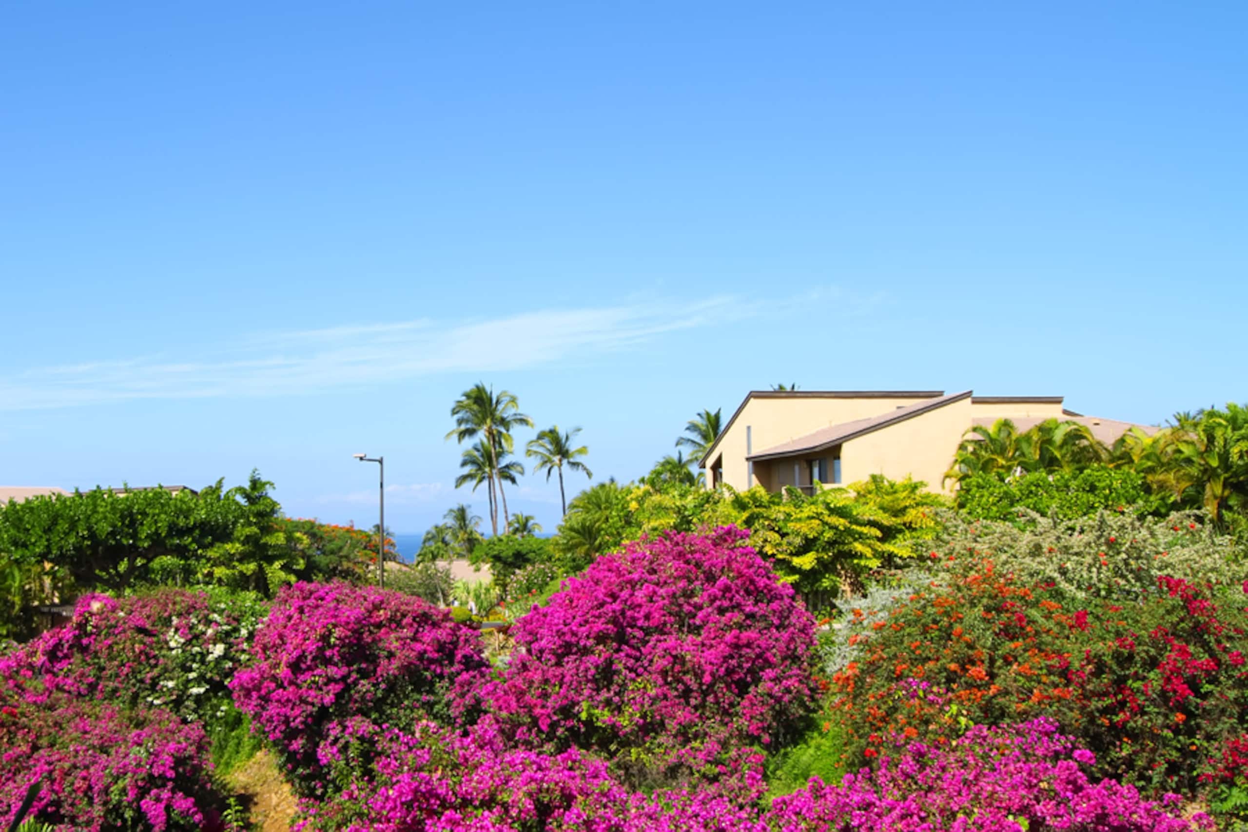 1 bed & bunks Ocean view, beachfront property - Image 48