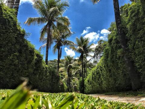 Sítio Recanto da lagoa - Inácia