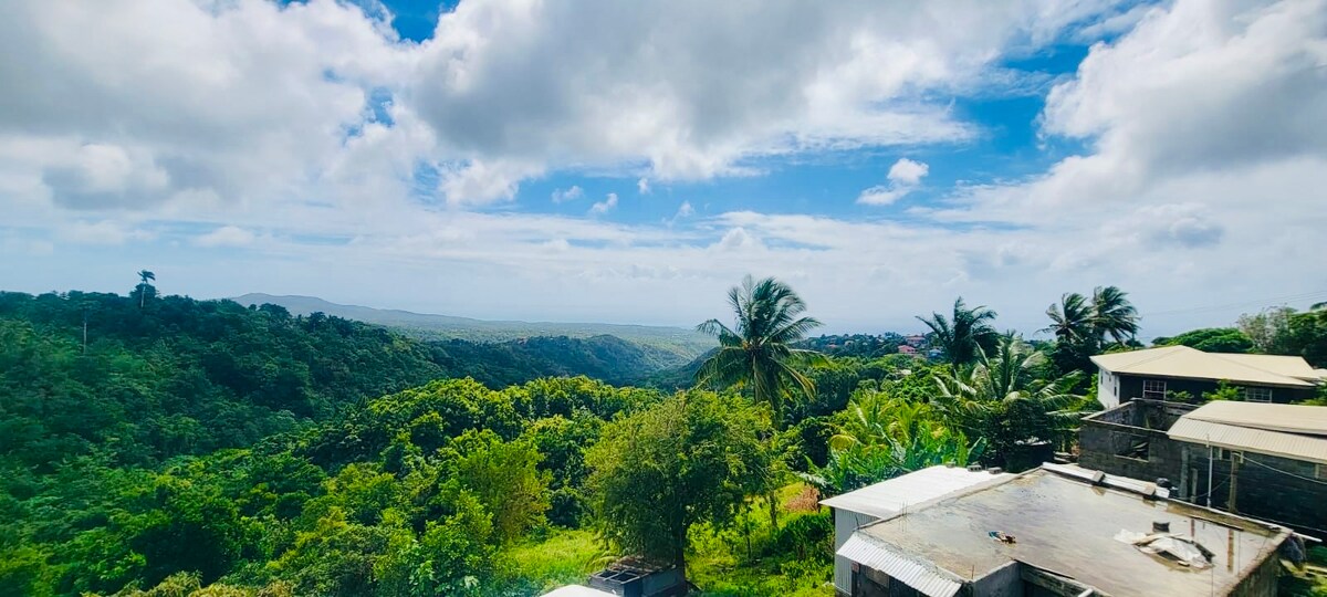 A panoramic view showcases lush green hills and vibrant palm trees under a partly cloudy sky. The natural scenery extends to the horizon, offering a sense of openness and tranquility. Nearby rooftops hint at the surrounding community nestled within the landscape.
