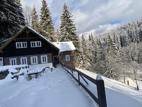 Log cabin in the mountains 6 rooms, 21 beds