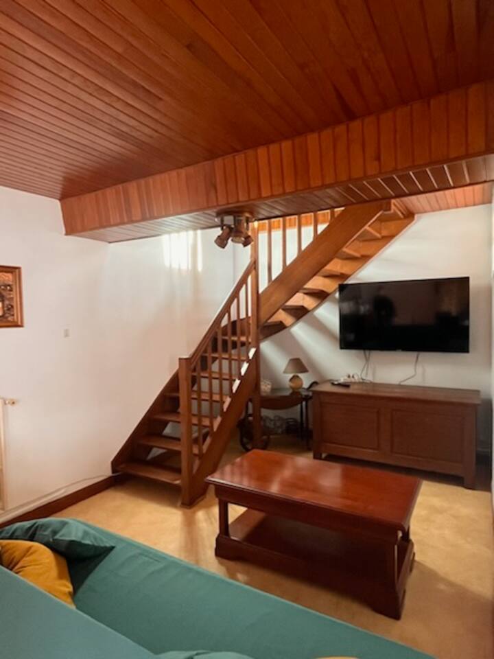 dhomë e vogël ndenjjeje me televizor 1 divan clic clac  2 persona