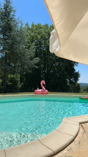 A swimming pool is surrounded by lush greenery, reflecting sunlight off the clear water. A pink flamingo float can be seen resting on the pool's surface, adding a pop of color. The area is sheltered by a large fabric canopy, providing a shaded spot nearby.