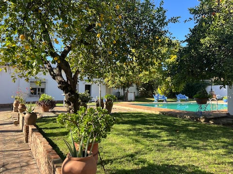 Un Oasis en Sevilla - Your place to disconnect