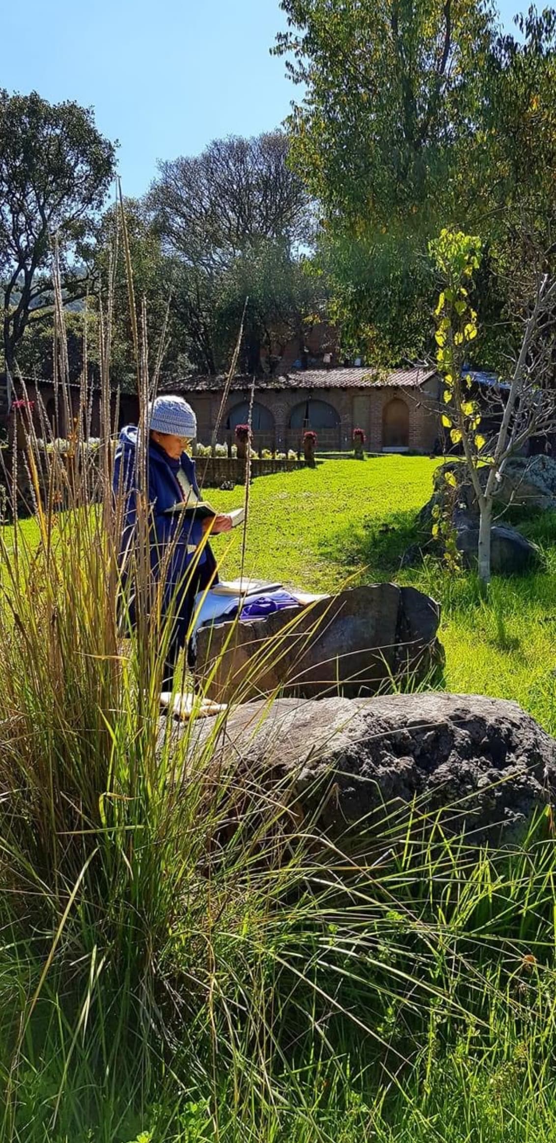An individual is seated on a rock amidst tall grass, engaged in an activity. The surrounding area features a lush green lawn, with trees providing dappled sunlight. In the background, a rustic structure can be seen, blending with the natural landscape.