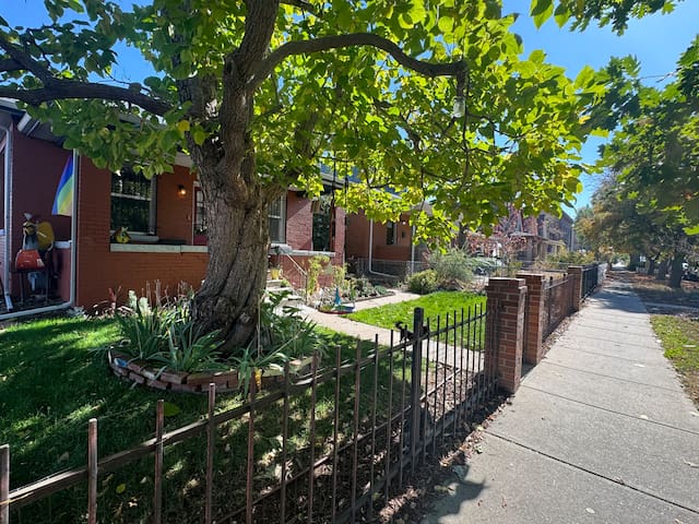 The Casa of Color gallery image 2