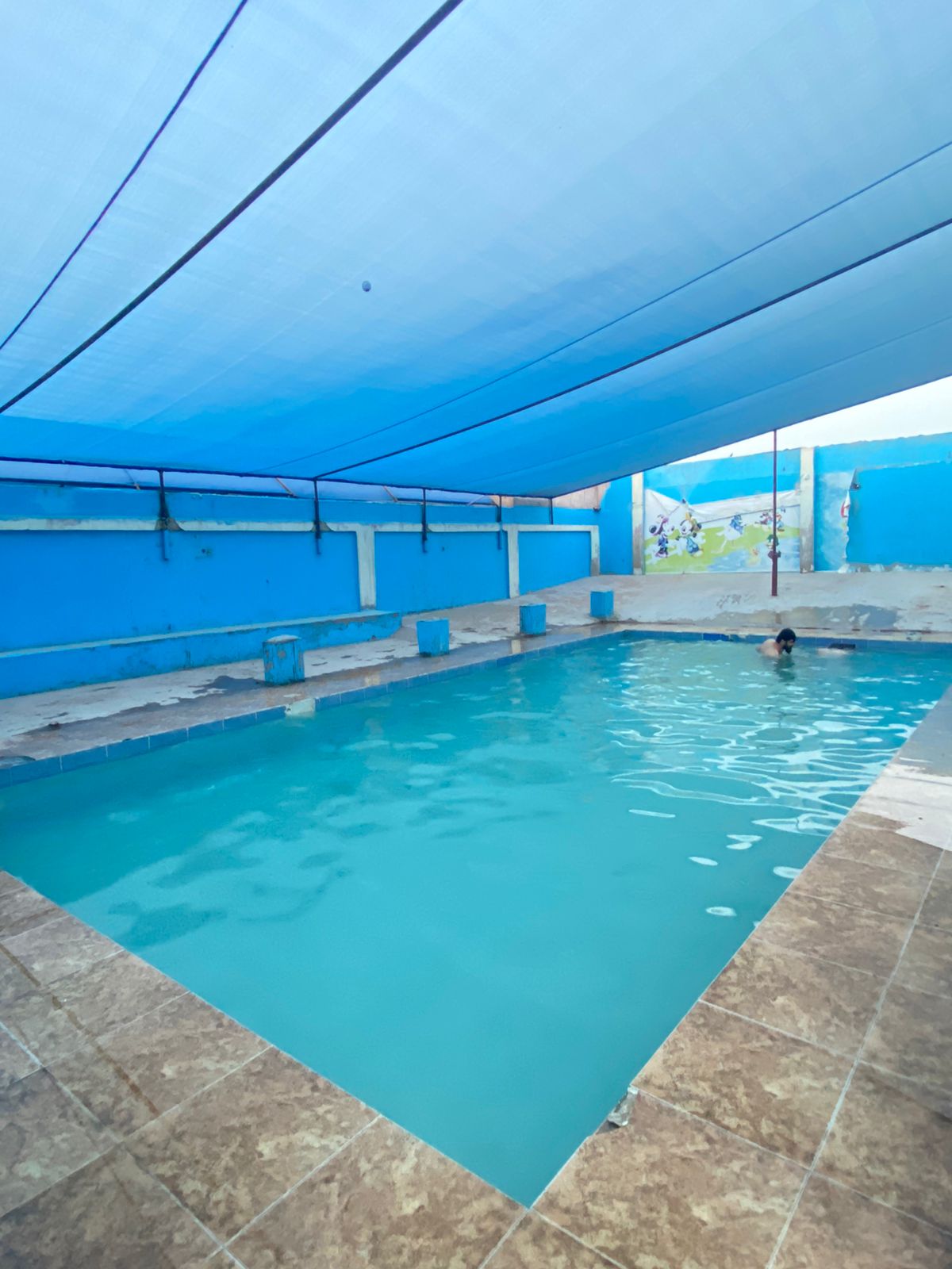 An indoor pool area features a clear blue water surface, sheltered under a blue canopy. The tiled surroundings include a textured stone border, enhancing the space. Bright murals adorn the walls, adding color to the environment.
