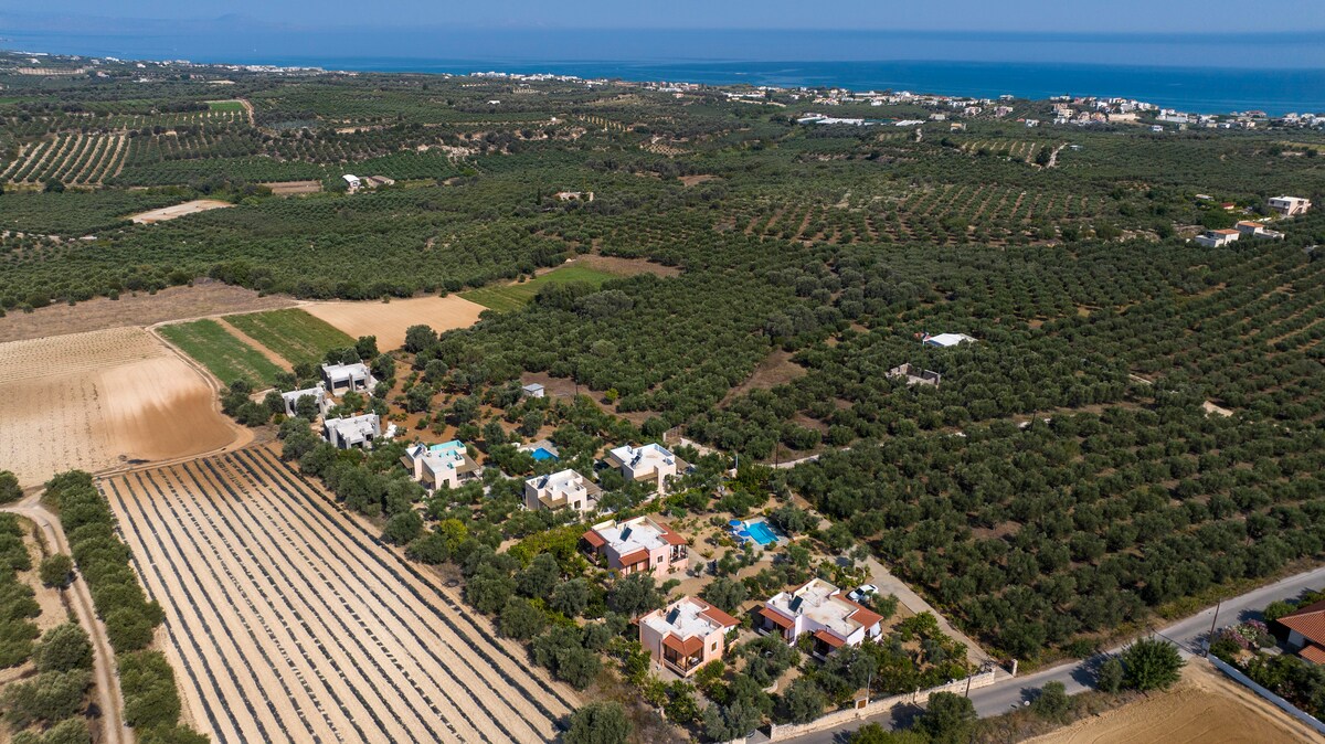 Aerial view of the surrounding landscape reveals rows of olive trees and cultivated fields, showcasing the vibrant greenery of the countryside. In the distance, the blue sea meets the horizon, creating a serene backdrop to the peaceful village setting, with several villas and a shared pool visible.
