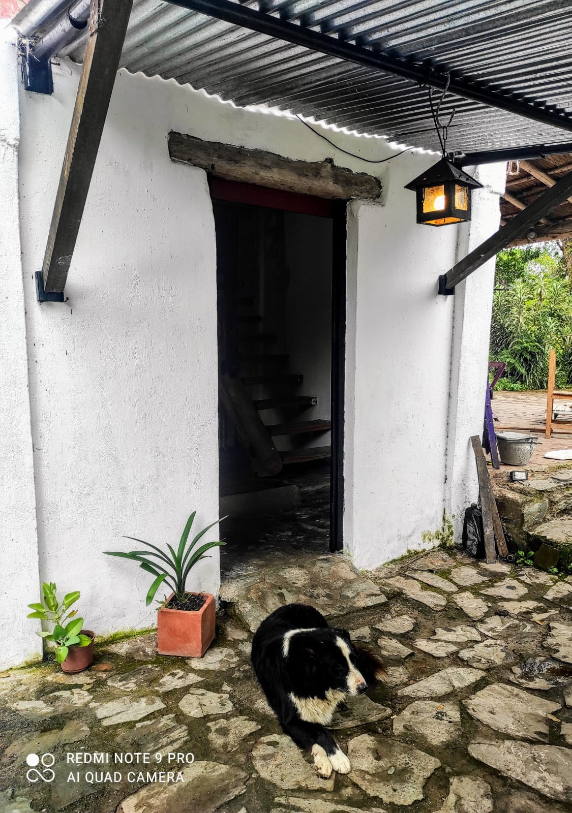 An entrance to a rustic building is framed by a stone pathway, leading to a dark wooden door under a metal awning. A lantern hangs above the doorway, providing warm illumination. A black and white dog rests on the ground nearby, with potted plants adding greenery to the scene.