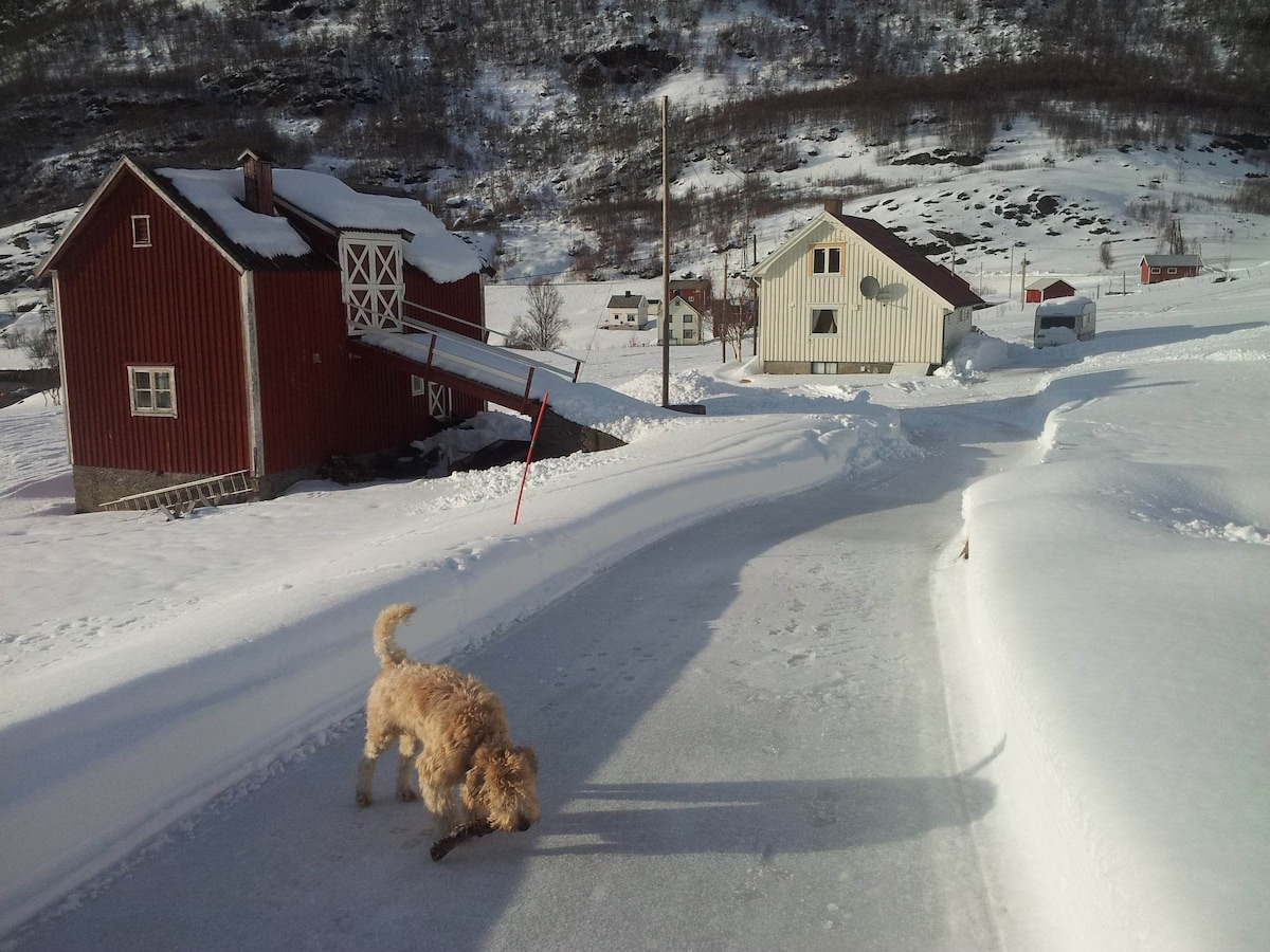 A snow-covered pathway leads through a tranquil rural landscape. A light-colored dog explores the snowy ground. In the background, traditional red and white wooden buildings are partially visible, with snow-draped mountains rising above in the distance.