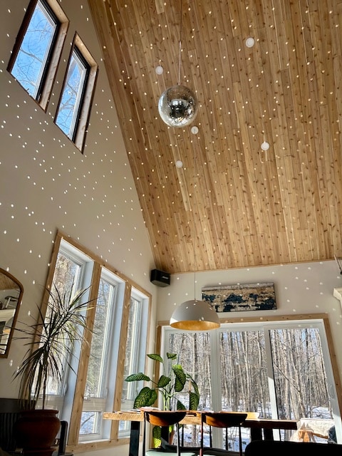 A bright living area showcases high, wooden ceilings adorned with a mirrored disco ball. Sunlight filters through large windows, casting playful patterns across the walls. A wooden table is complemented by stylish chairs, while a vibrant plant adds a touch of greenery to the space.