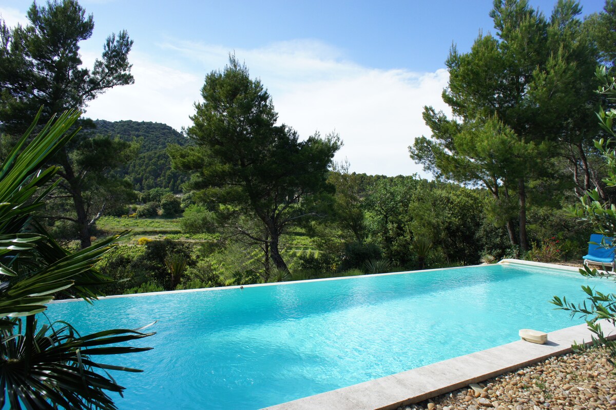 A private infinity pool stretches alongside the lush landscape, framed by green trees. The tranquil water reflects the clear sky, creating a serene setting. Stone edging surrounds the pool, with outdoor seating visible in the distance, complementing the natural scenery.