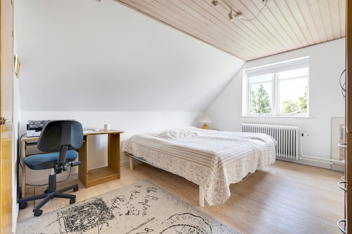 Habitación 1