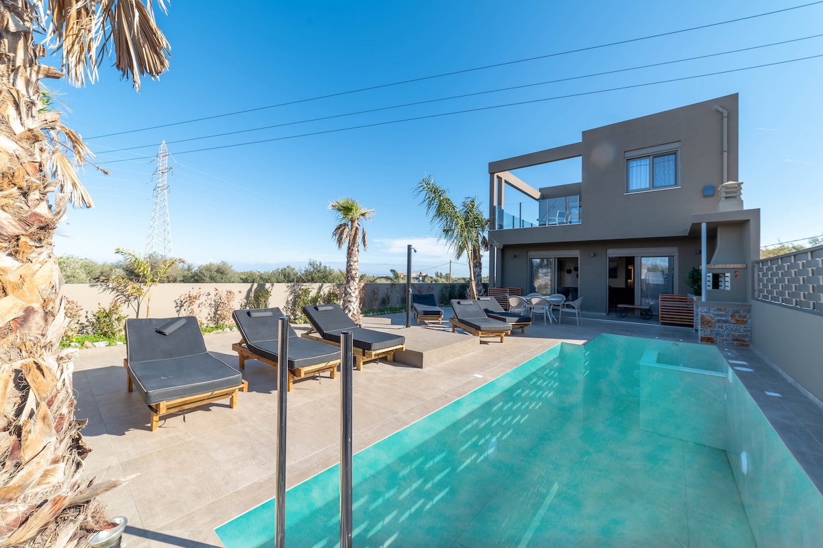 An outdoor area features a clear swimming pool surrounded by multiple lounge chairs. Palm trees provide shade, while a modern villa stands in the background with large windows. The open space is enhanced by a clear blue sky above.