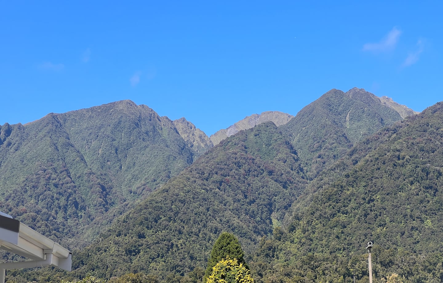 'Tha Shearers Rest' Fox Glacier 4