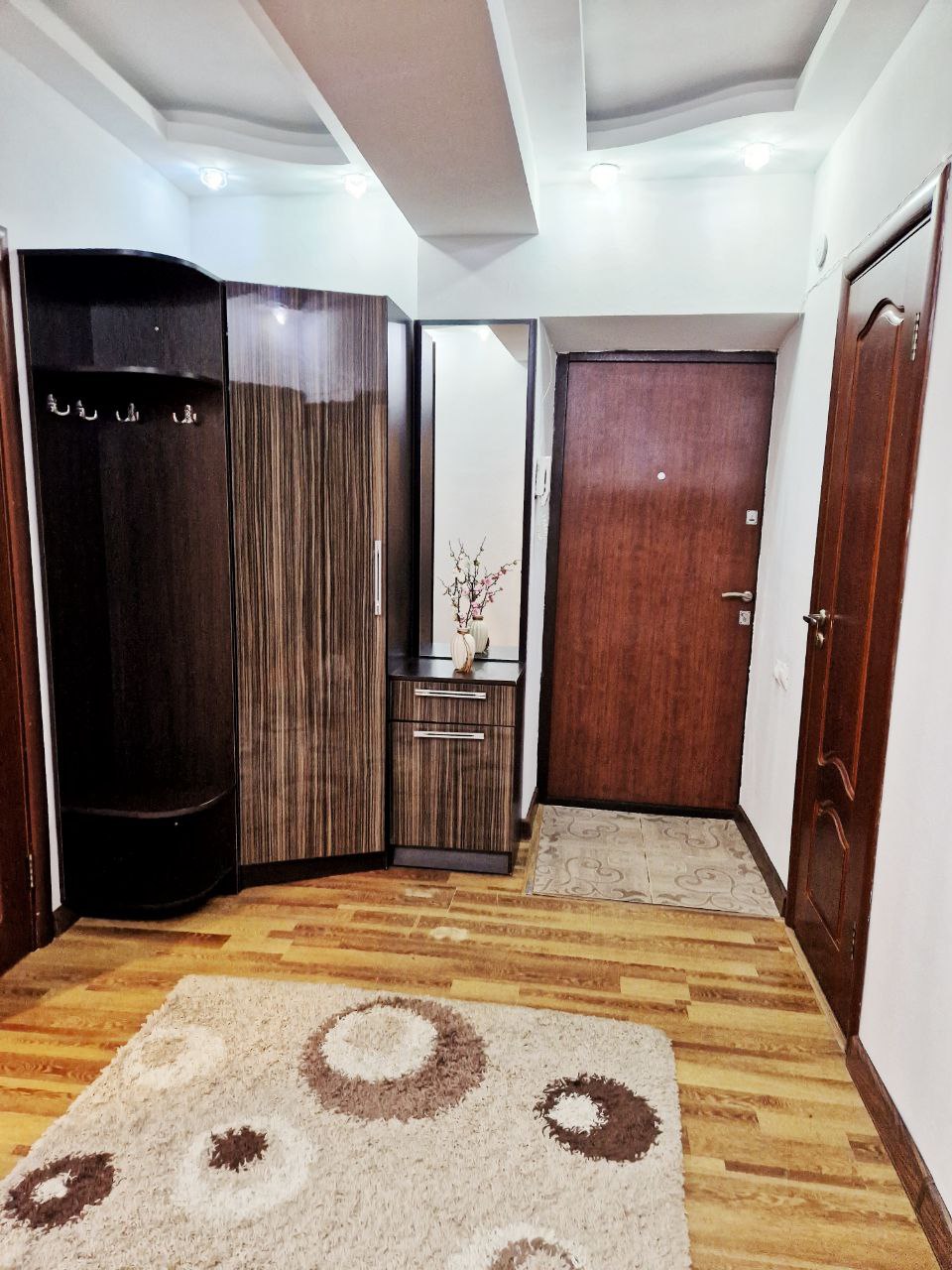 A well-organized entryway is featured, with a dark wooden wardrobe and a mirror providing functionality. A coat rack is positioned on one side, while a small console table offers additional storage. A neutral-toned area rug with circular patterns adds warmth to the wooden floor.