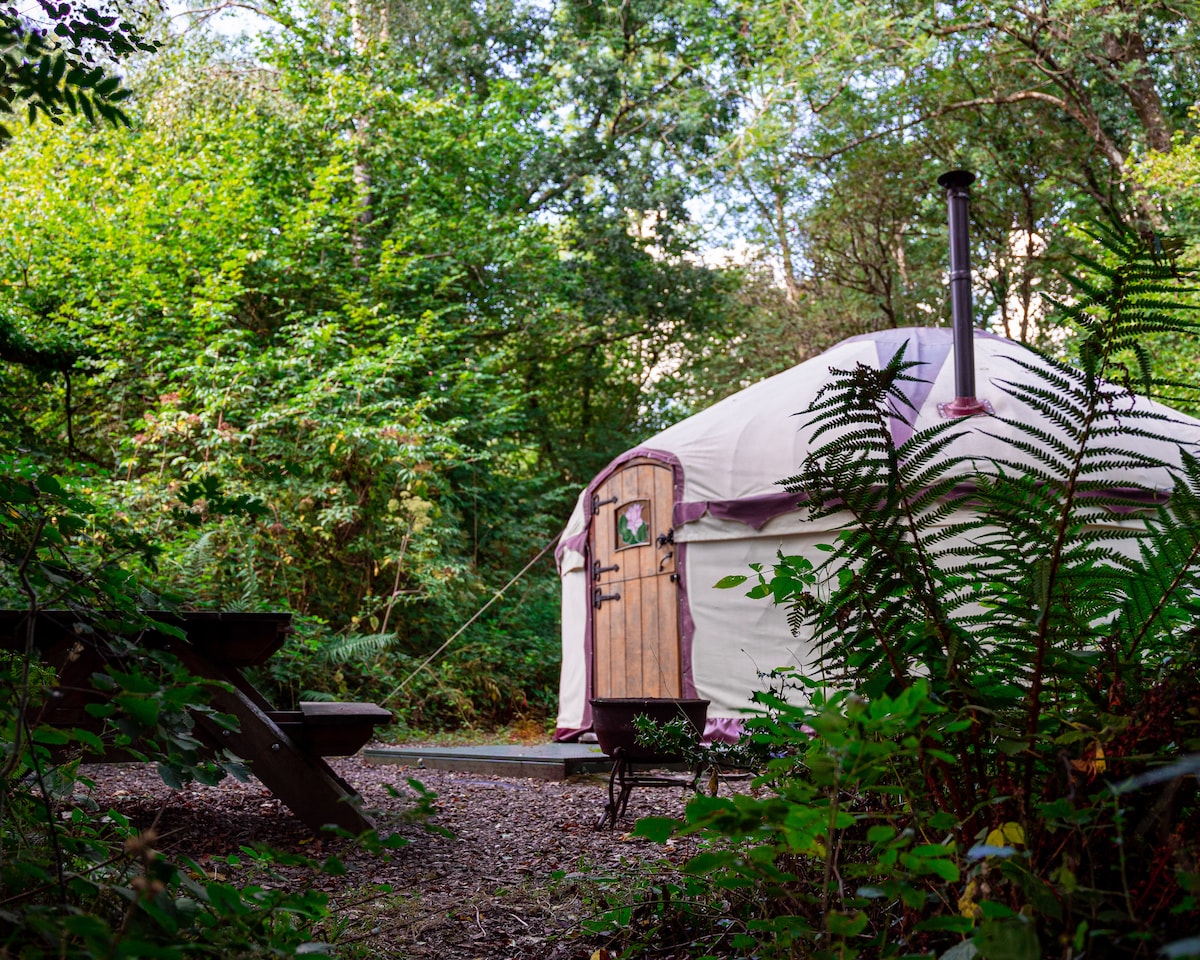 A handmade yurt is nestled among lush greenery, featuring a wooden door with a small decorative element. The exterior is surrounded by ferns and trees, while a picnic table and fire pit are positioned nearby, inviting outdoor relaxation.