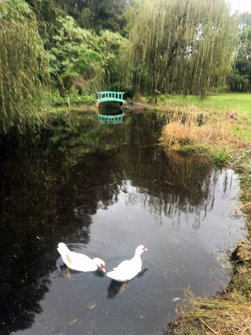 Duke’s Residence. Available 2 nights or more gallery image 5