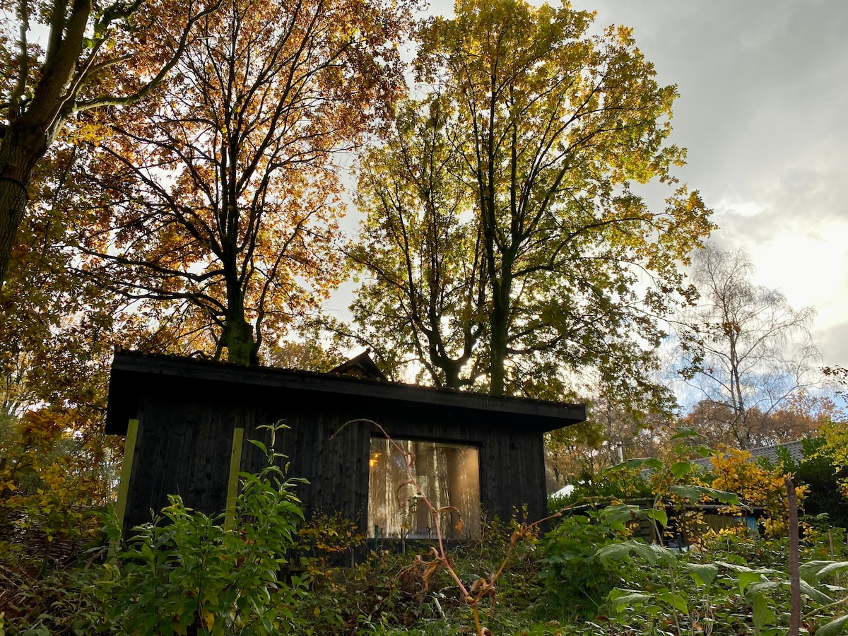 A cozy cabin is nestled among vibrant autumn trees, showcasing rich shades of orange and yellow. The cabin's window reflects the natural surroundings, inviting a sense of warmth and tranquility. Lush greenery surrounds the area, enhancing the cabin's connection with nature.