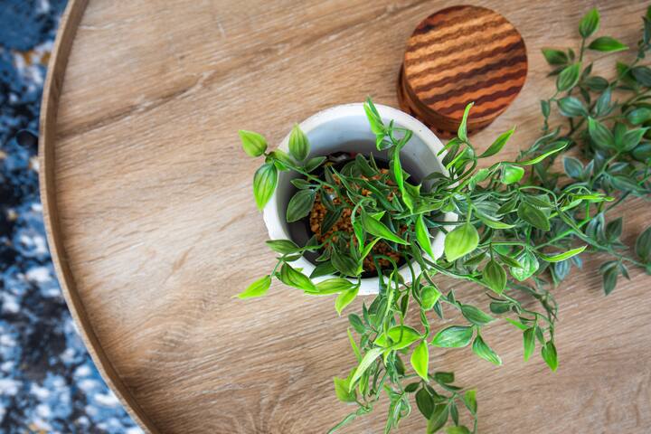 Kalk Bay, 2 bed, 1 bath, private patio, inverter gallery image 4