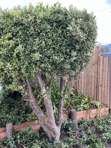 Sunny and tranquil place gallery image 4