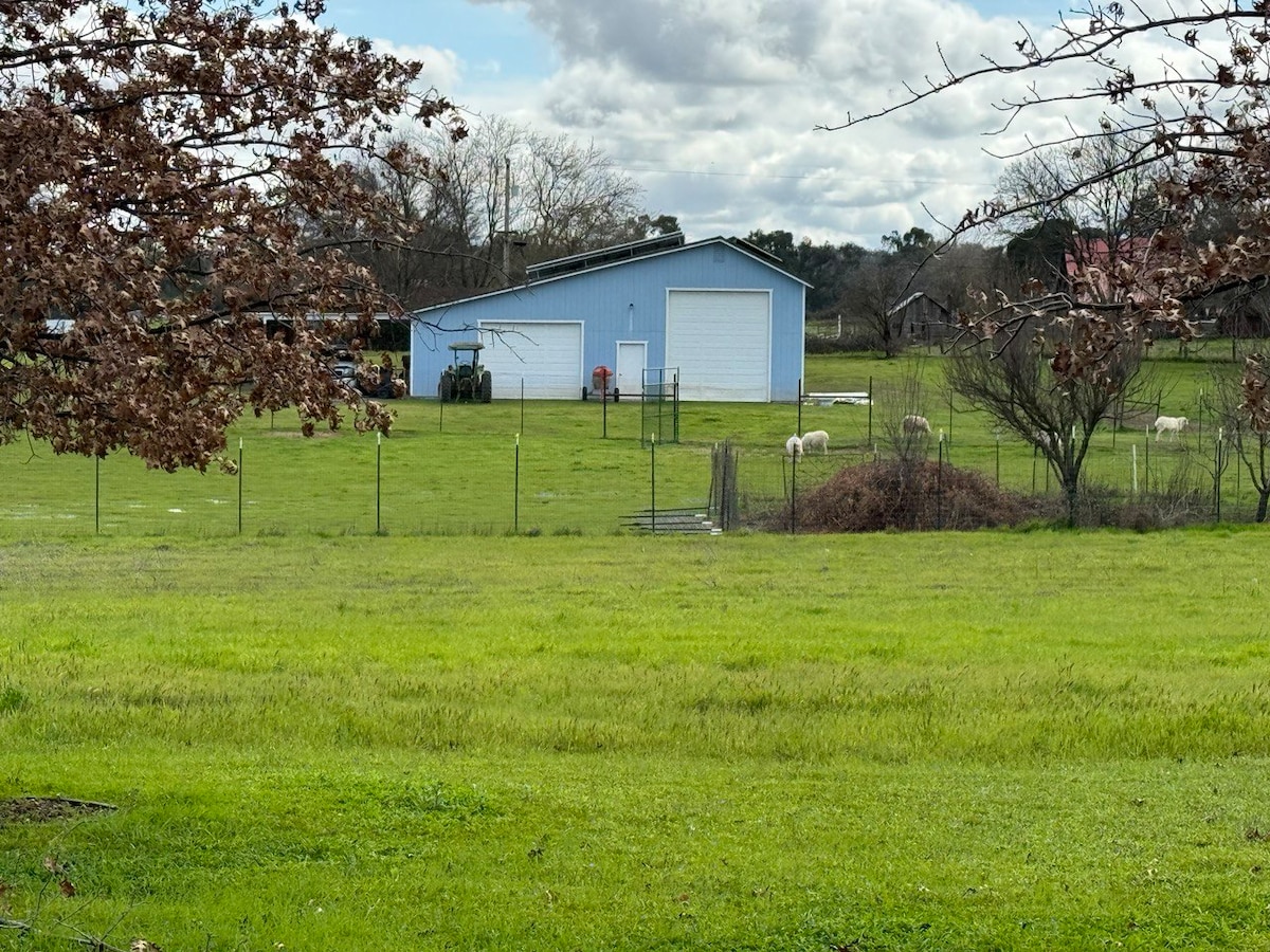 A spacious blue barn is visible in a rural setting, surrounded by a green grassy field. Fenced areas may contain grazing animals, while a few trees dot the landscape in the background under a partly cloudy sky.