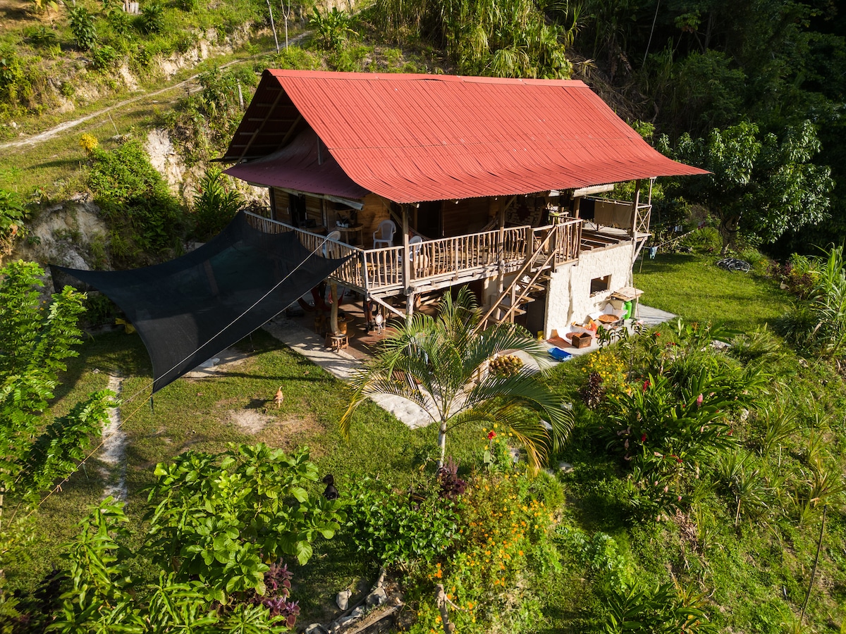 A two-story wooden cabin with a red tin roof is surrounded by lush greenery and vibrant flowers. A shaded deck extends from the front, offering outdoor seating. The natural landscape creates a serene environment, highlighting the rustic charm of the cabin.