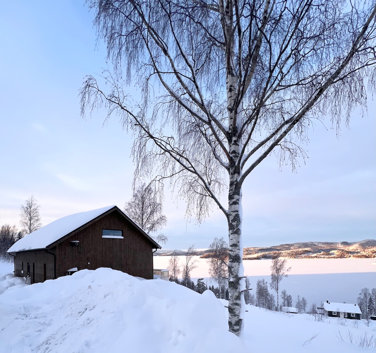 A wooden cabin is depicted surrounded by snow, with a large birch tree positioned nearby. The cabin features large windows that reflect the icy landscape and offer views of the icy lake in the distance, suggesting a peaceful winter setting.