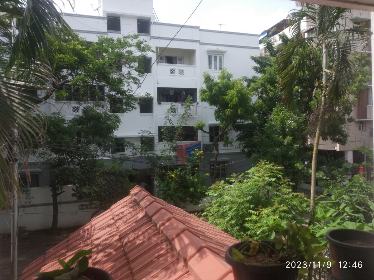 The image captures a view from a window, showcasing a lively outdoor scene. Various green trees and plants are visible, framing the building across the street. Red-tiled rooftops are in the foreground, while light filters through the foliage, creating a serene atmosphere.
