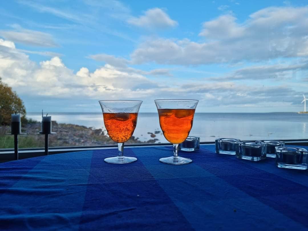 Two elegant glasses filled with a bright orange beverage are placed on a blue-patterned tablecloth. A tranquil waterfront view is visible in the background, featuring calm waters reflecting the sky and distant wind turbines. Soft natural light enhances the serene atmosphere.