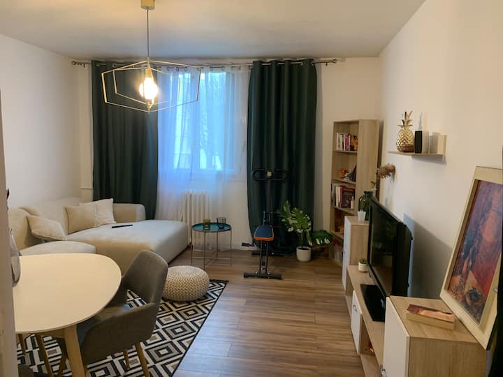 Appartement T2 Proche Paris, Disney, Arena Bercy - Champigny-sur-Marne