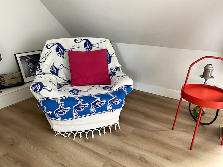 Zolderappartement In Een Vrijstaande Villa - Haarlem