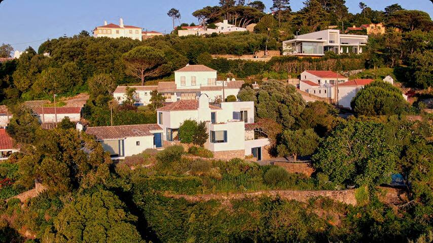 House of million views gallery image 3