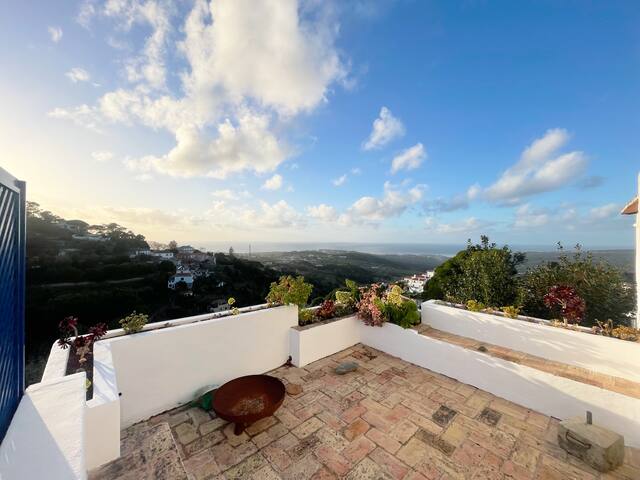 House of million views gallery image 2