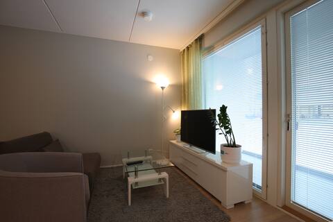 Successful Airbnb property: Nice studio in Tapiola Sports Park. in Espoo