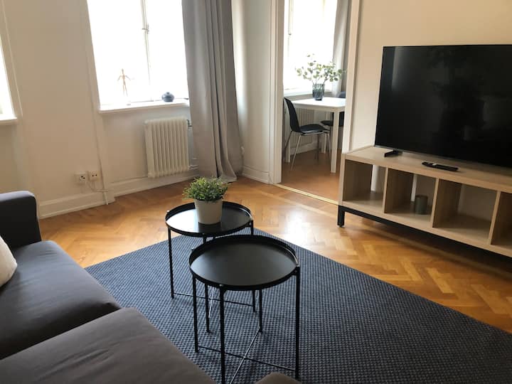 Spacious Södermalm Apartment - Estocolmo
