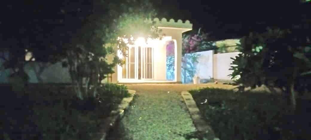 A tranquil path is illuminated leading to the entrance of a cozy house, surrounded by lush greenery. Vibrant colors from a mural are visible on the exterior wall. The setup offers a welcoming appearance in a quiet, garden-filled environment.