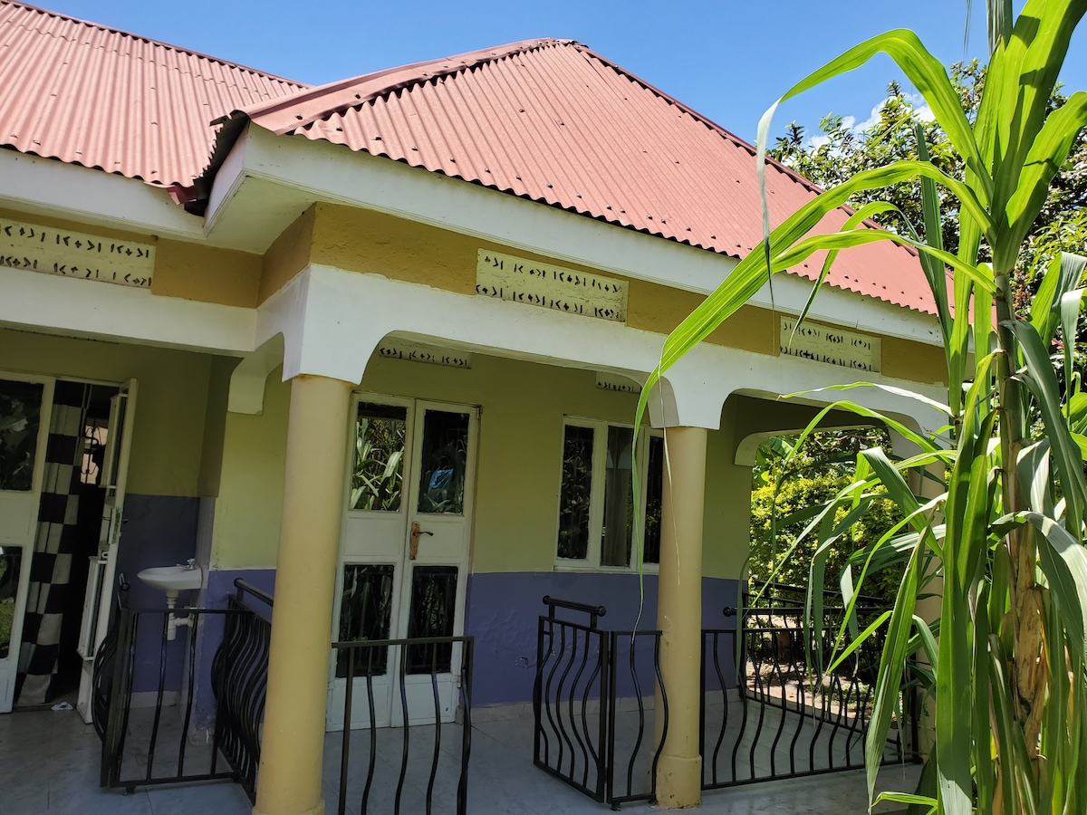 A cottage with a red metal roof is surrounded by greenery. The exterior features decorative columns and a balcony with a wrought-iron railing. Bright sunlight illuminates the structure, and a garden plant is visible in the foreground, adding to the natural setting.