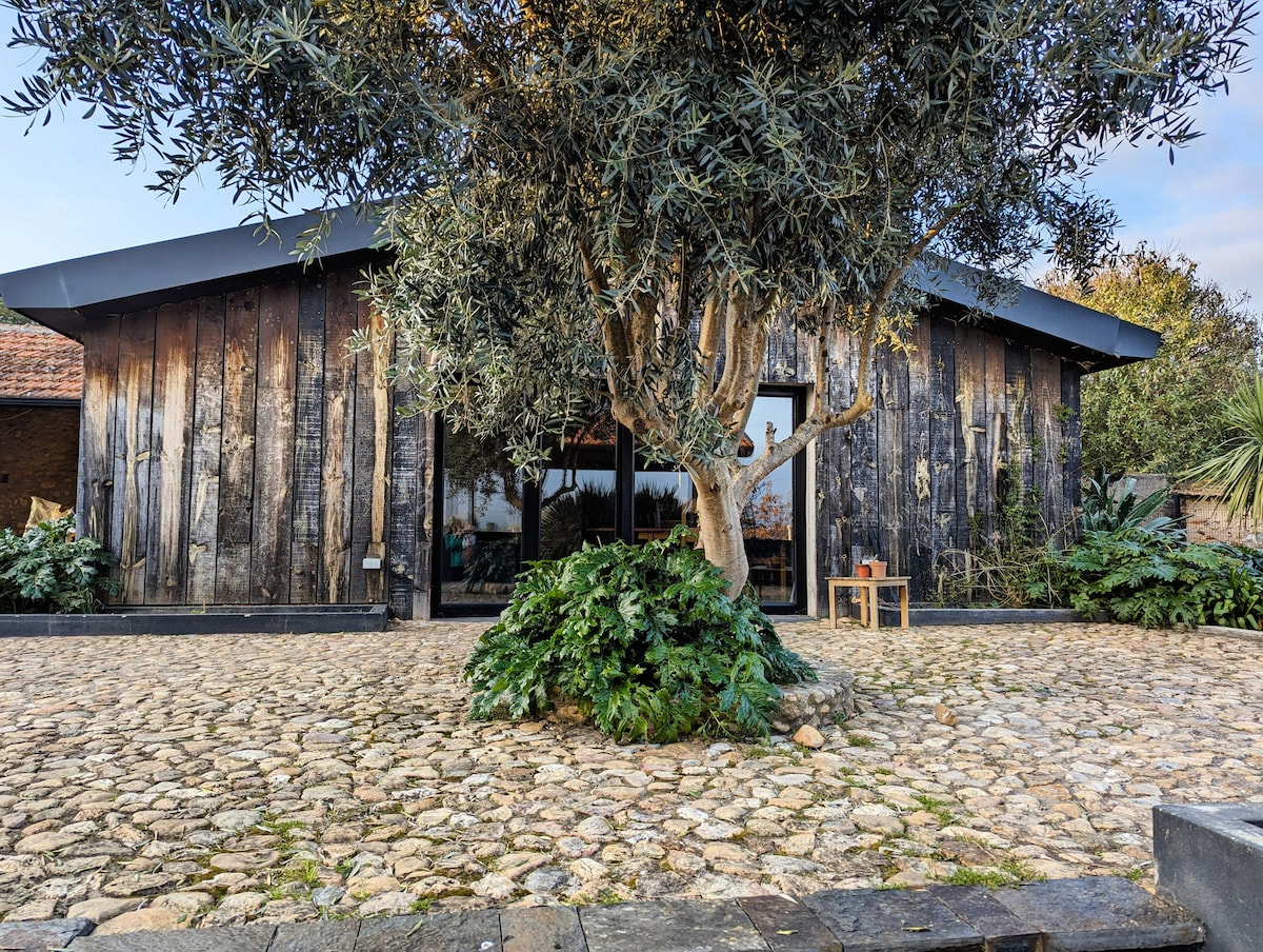 A rustic cottage is surrounded by a paved stone courtyard, featuring a prominent olive tree at its center. The exterior showcases weathered wooden panels, complemented by lush greenery. Large windows invite natural light into the space, creating a harmonious connection with the external environment.