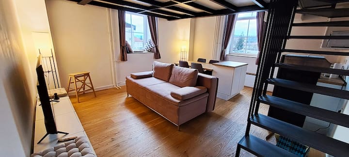 Nouveau! Duplex Ljubljana Centre - Liubliana