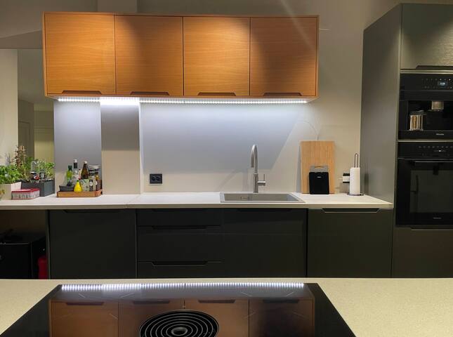 3BR penthouse in the center of Oslo with terrace gallery image 5